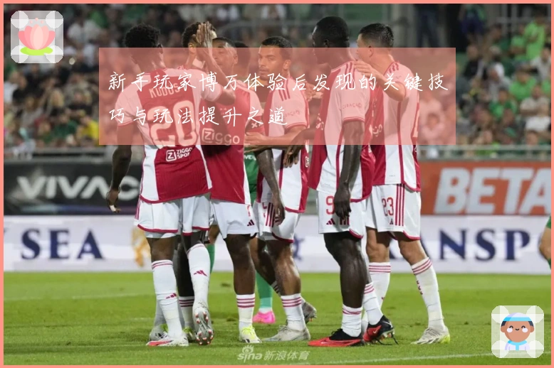 新手玩家博万体验后发现的关键技巧与玩法提升之道